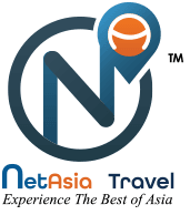 Netasia Logo