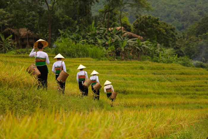 3 Days Sapa Village Trek: Explore Thanh Phu, Sin Chai & Nam Sai