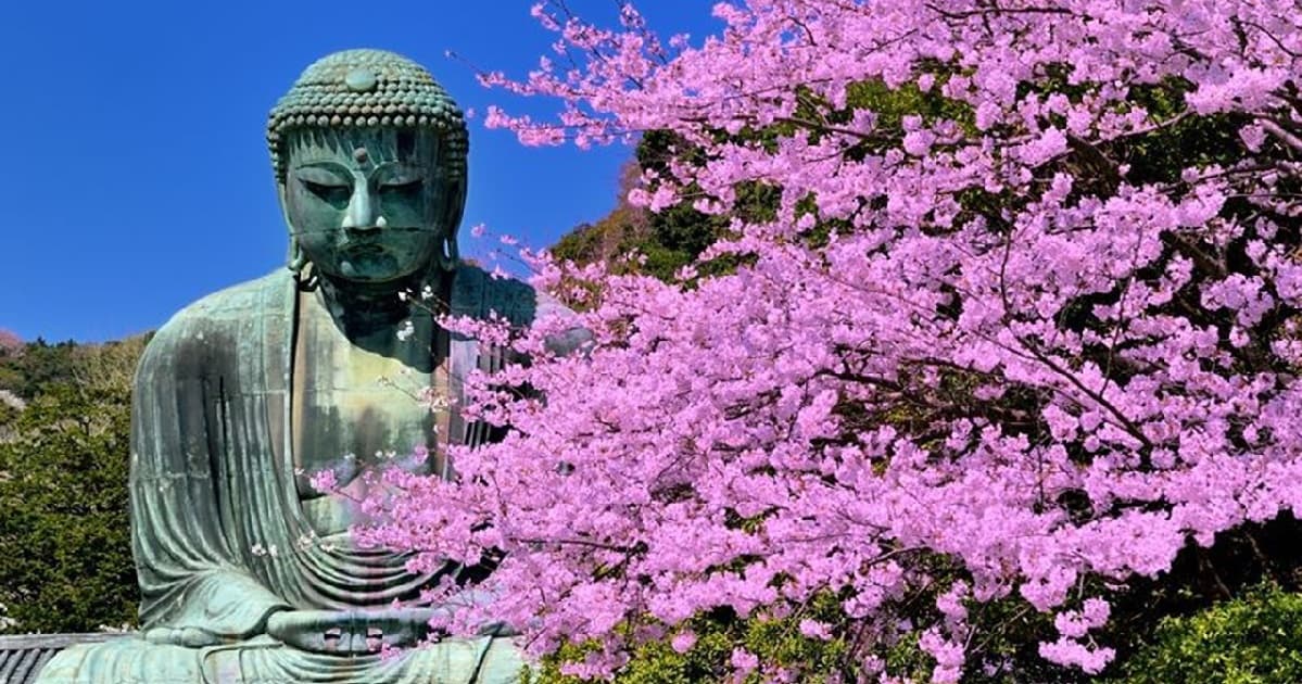 4 Days Discovering Fuji and Tokyo