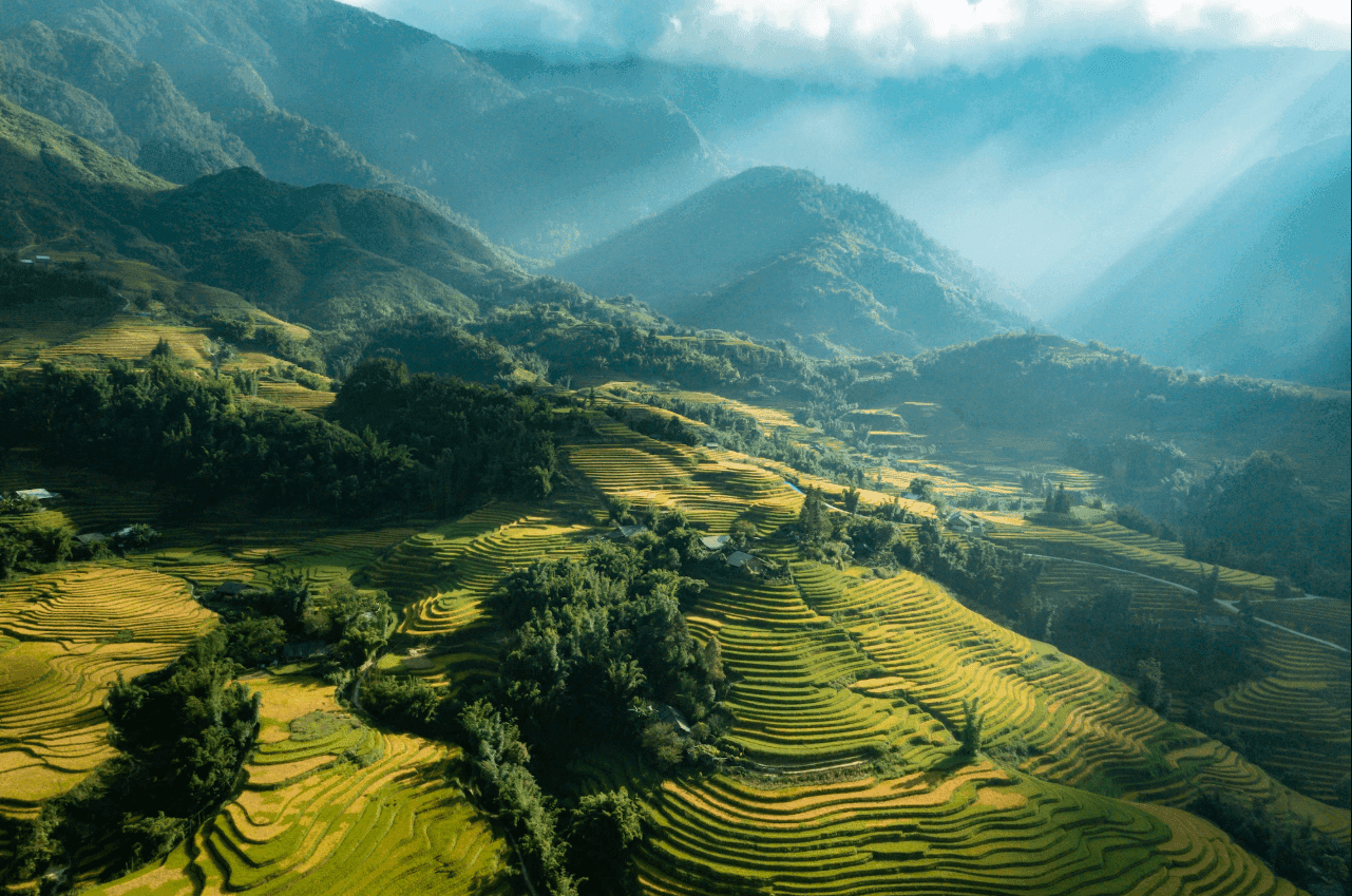 Sapa
